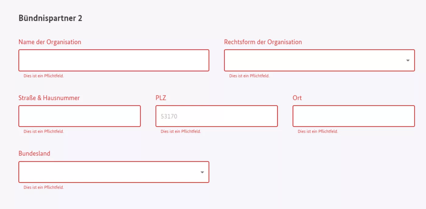 Bildschirmfoto der auszufüllenden Felder in kumasta für Bündnispartner 2: Name der Organisation, Rechtsform der Organisation, Straße und Hausnummer, PLZ, Ort, Bundesland