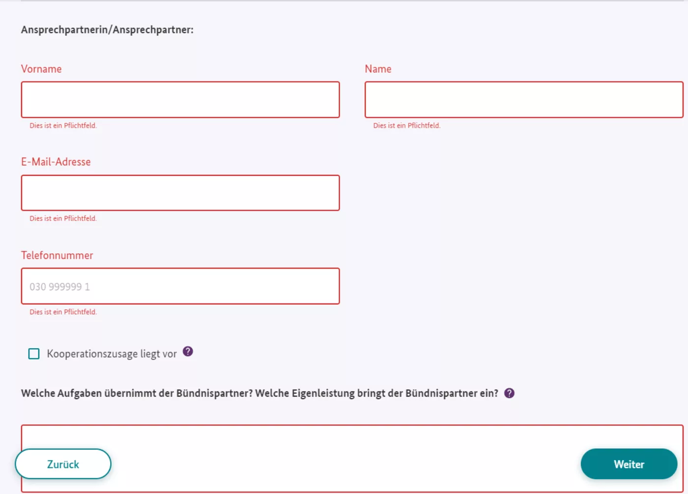Auszufüllende Felder für die Ansprechperson des Bündnispartners: Vorname, Name, E-Mail-Adresse, Telefonnummer. Dazu eine Check-Box „Kooperationszusage liegt vor“ und ein Textfeld zur Darlegung, welche Aufgaben der Bündnispartner übernimmt bzw. welche Eigenleistungen erbracht werden.
