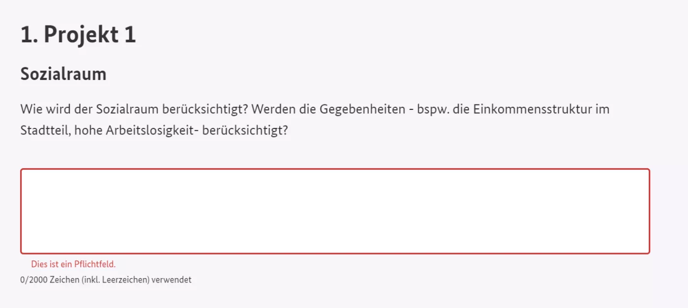 Bildschirmfoto des auszufüllenden Feldes zur Beschreibung des Sozialraums
