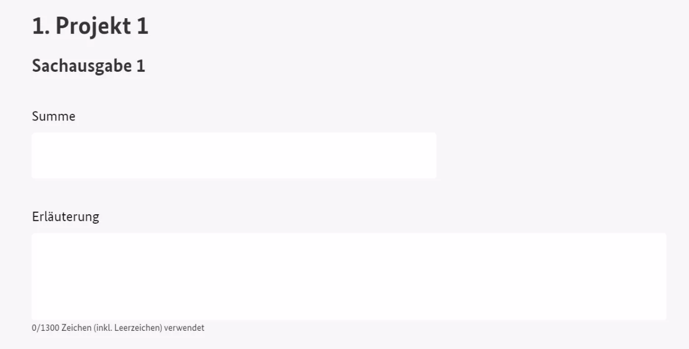 Bildschirmfoto der auszufüllenden Felder für Sachausgaben. Angegeben werden muss die Summe, Textfeld für Erläuterungen