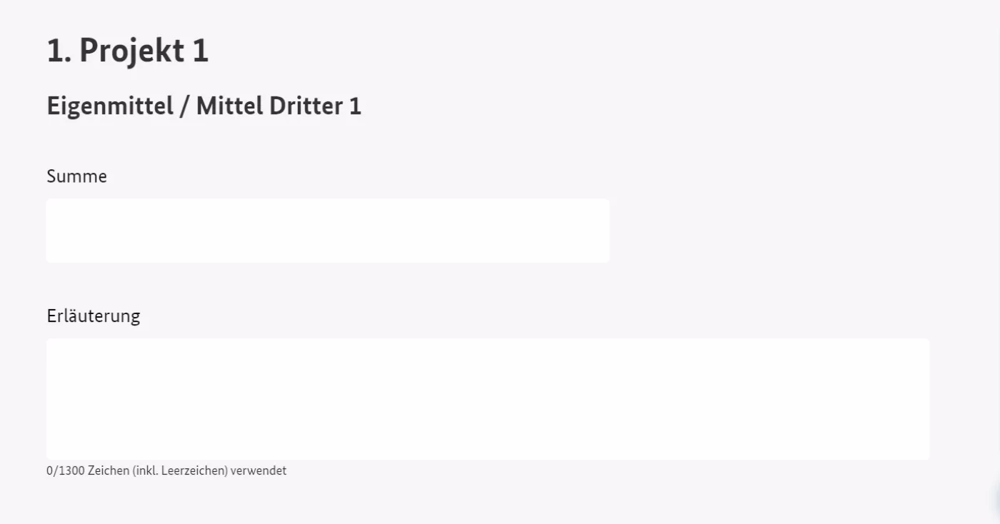 Bildschirmfoto der auszufüllenden Felder für Eigenmittel/Mittel Dritter. Angegeben werden muss die Summe, Textfeld für Erläuterungen
