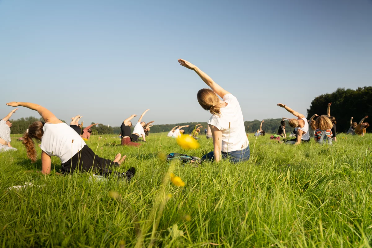 Many people sit spread out on a meadow in the grass, tilt their upper body to the left and stretch their right arm up in the air.