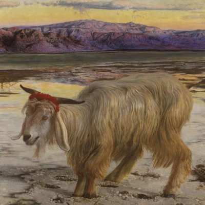 Illustration of a goat.