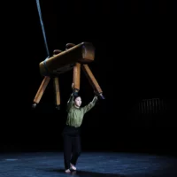 A dancer stands in the spotlight on the otherwise darkened stage. Her hands touch the pommel horse hanging above her head.