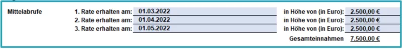Bildschirmfoto der auszufüllenden Zeilen für die ausgezahlten Mittel, pro Rate ist das Auszahlungsdatum und die Höhe des ausgezahlten Betrages angegeben.